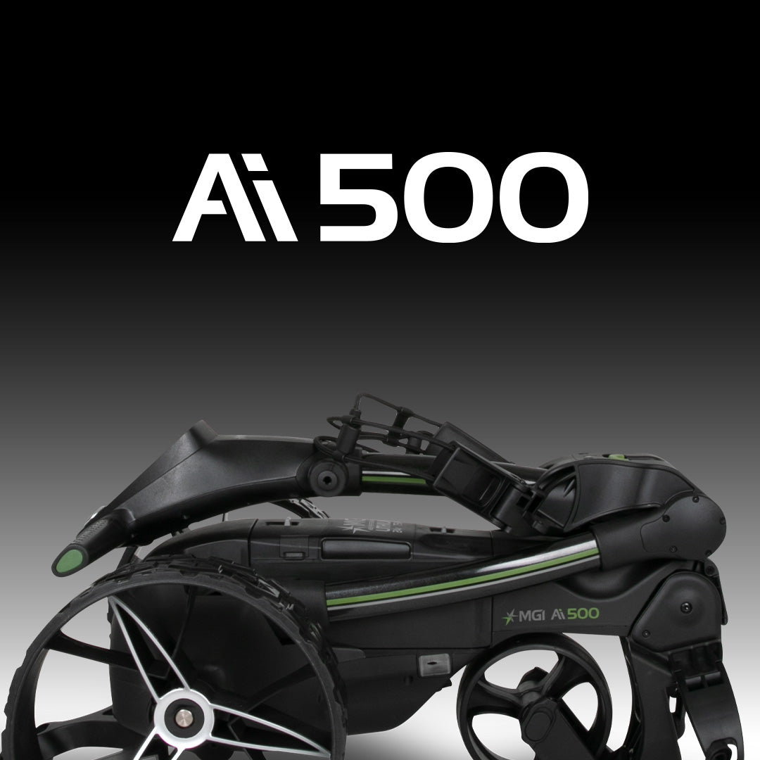 AI 500