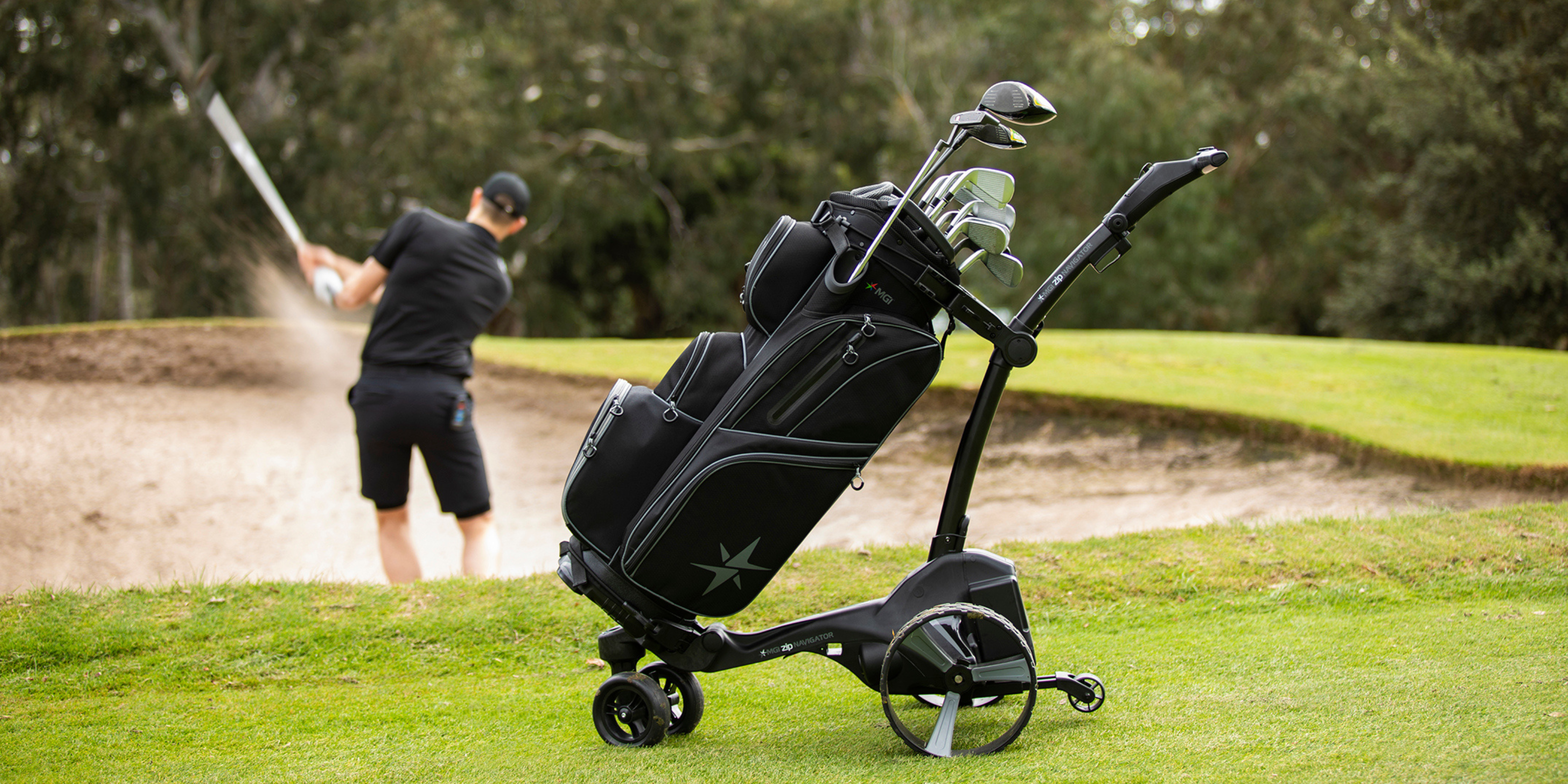 remote control electric buggy
